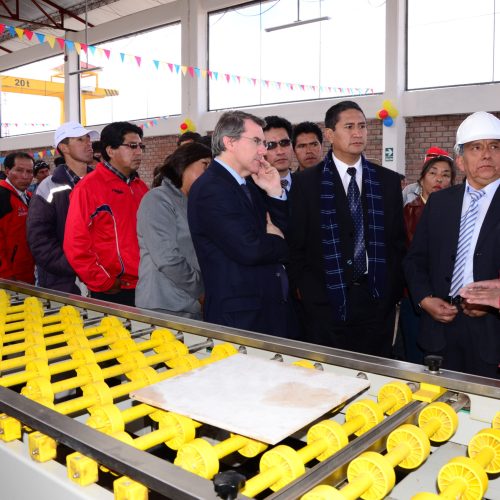 ALIANZA DE IZQUIERDA Y EMPRESARIADO NACIONAL